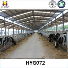 Prefab steel structure cattle shed